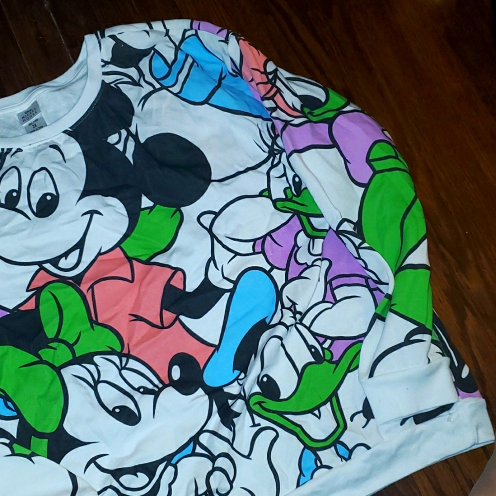 Disney Sweatshirt, 2x, plus size, Mickey, Minnie. Never worn.